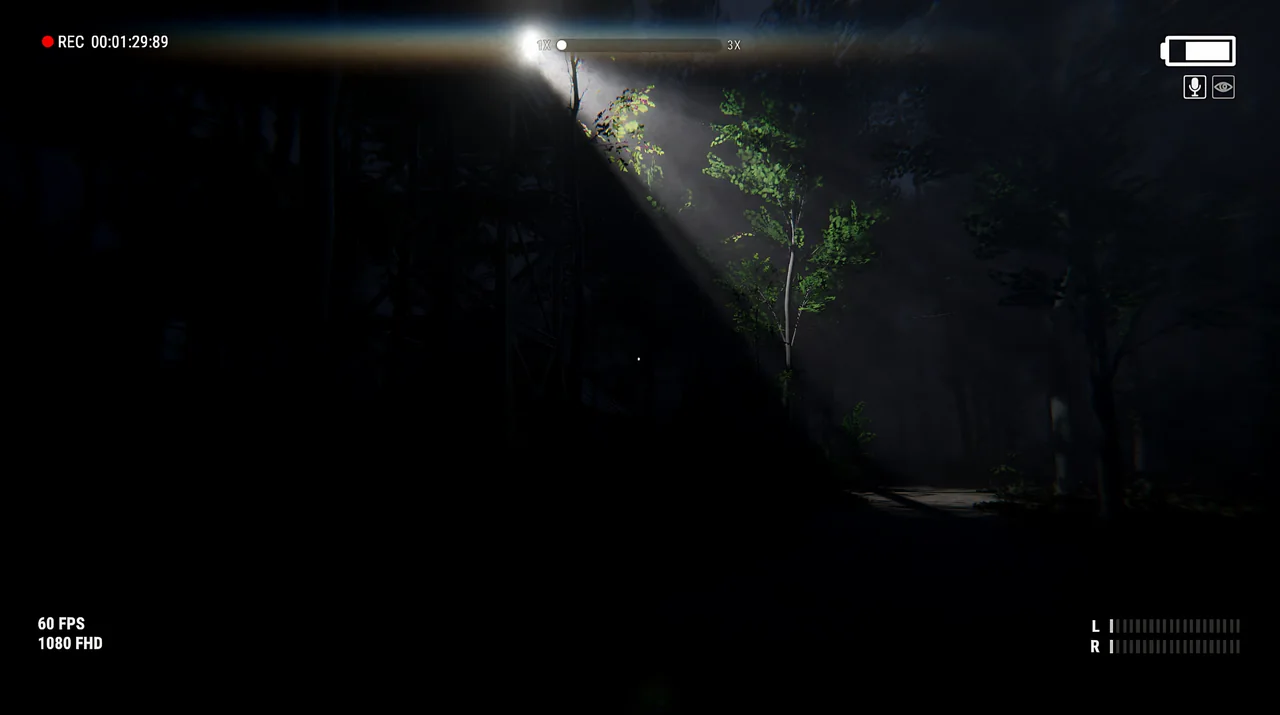A searchlight beam over the forest